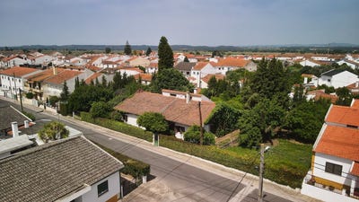 /international/pt/golega-santarem-310108558434/