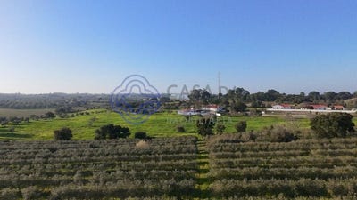 /international/pt/cartaxo-e-vale-da-pinta-santarem-310106915089/