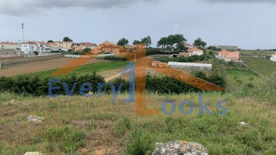 /international/pt/peniche-leiria-310095684690/