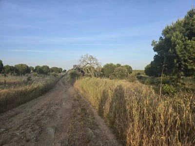 /international/pt/ourique-beja-310106773510/