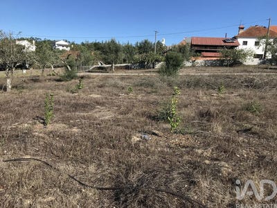 /international/pt/santarem-santarem-310095223910/