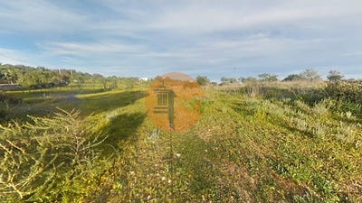 /international/pt/pechao-faro-310105016082/