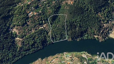/international/pt/tarouquela-viseu-310108676157/?lang=fr