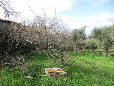 /international/pt/castelo-branco-braganca-310096027758/