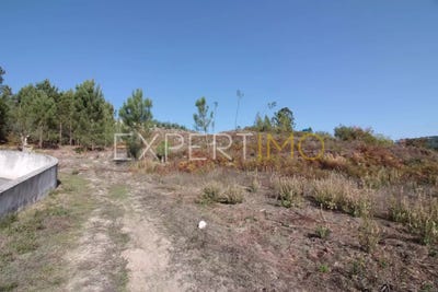 /international/pt/santarem-santarem-310105989462/