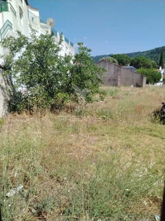 /international/pt/ribeira-de-nisa-e-carreiras-portalegre-portalegre-310101017787/