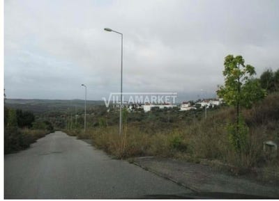 /international/pt/abrantes-sao-vicente-sao-joao-e-alferrarede-santarem-310103194805/