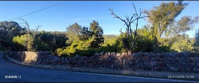 /international/pt/loule-faro-310103791826/