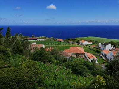 /international/pt/rua-do-moio-ilha-de-sao-miguel-azores-310107522126/