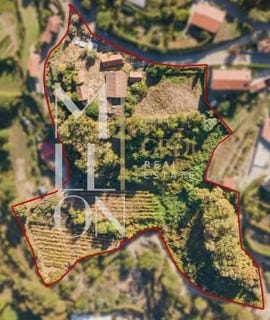 /international/pt/jazente-porto-310105239934/