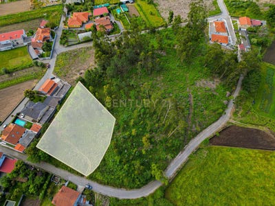 /international/pt/palmeira-de-faro-e-curvos-braga-310099781199/
