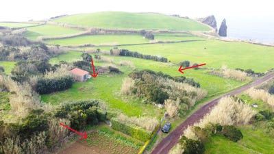 /international/pt/covas-ilha-de-sao-miguel-azores-310108589085/