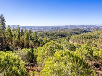 /international/pt/odemira-santa-maria-beja-310098706737/