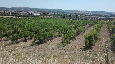 /international/pt/vila-de-frades-vila-real-310109220374/