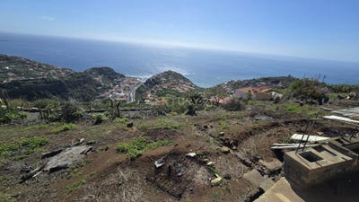 /international/pt/ilha-da-madeira-madeira-310098115639/