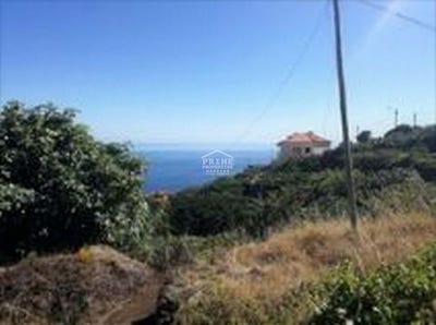 /international/pt/santa-cruz-setubal-municipality-120086467412/