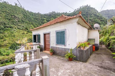 /international/pt/ilha-da-madeira-madeira-310105229084/