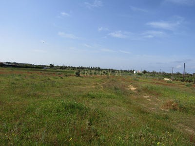 /international/pt/vale-rabelho-guia-leiria-310104006632/