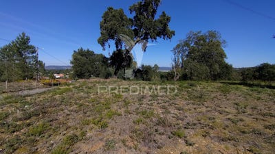 /international/pt/santa-margarida-da-coutada-constancia-santarem-310108372869/