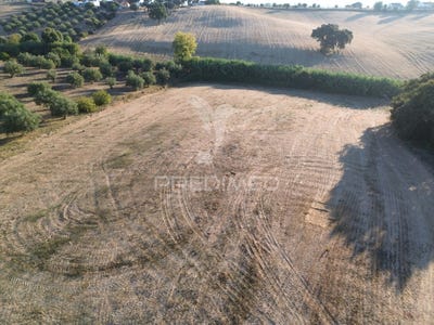 /international/pt/achete-azoia-de-baixo-e-povoa-de-santarem-santarem-santarem-310103456901/