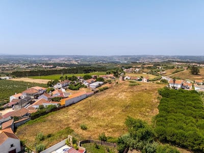 /international/pt/carvalhal-leiria-310102421079/