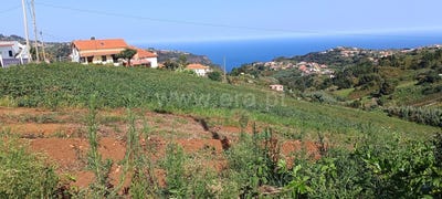 /international/pt/santana-madeira-310107566440/