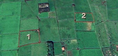 /international/pt/pvvw-5x-fontinhas-portugal-ilha-terceira-azores-310108371309/
