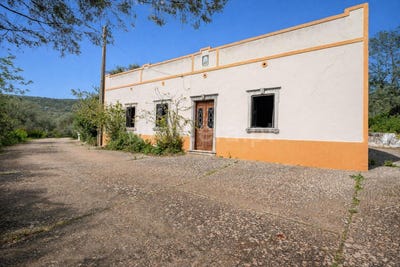 /international/pt/alte-faro-310106991425/