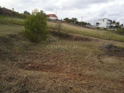 /international/pt/rua-do-fernandinho-portugal-reguengo-do-fetal-leiria-310105404158/