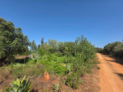 /international/pt/barao-de-sao-miguel-faro-310102044535/