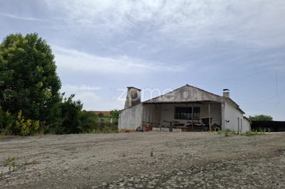 /international/pt/santarem-santarem-310100824107/
