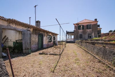 /international/pt/funchal-madeira-120078133677/