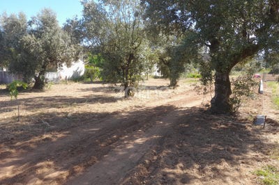 /international/pt/pombal-braga-120084624204/?lang=zh-cn