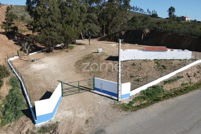 /international/pt/almodovar-beja-120081796391/?lang=zh-tw