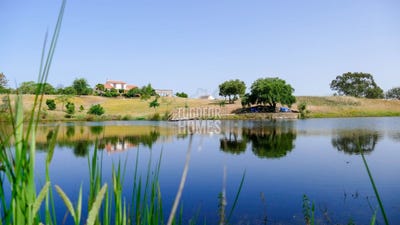 /international/pt/ourique-municipality-beja-310108553927/