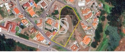 /international/pt/gandra-coimbra-310101226971/?lang=zh-cn