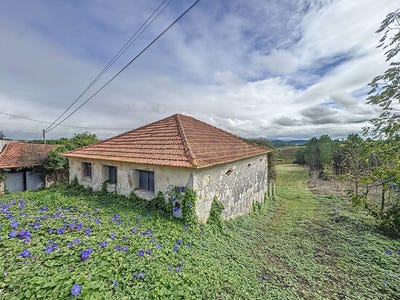 /international/pt/rua-do-sol-coz-leiria-310095227990/