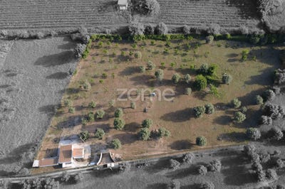 /international/pt/viana-do-alentejo-evora-310108372306/