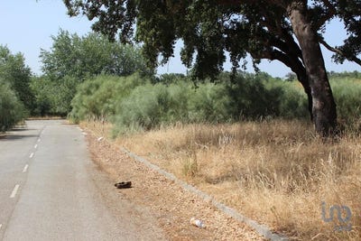 /international/pt/palmela-setubal-municipality-310100495551/