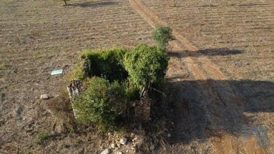 /international/pt/ferreira-do-zezere-santarem-120094597294/