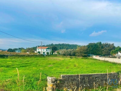 /international/pt/riba-de-ancora-viana-do-castelo-310101187700/