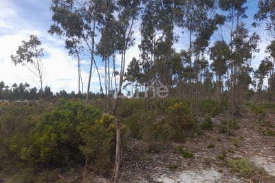 /international/pt/marinha-grande-leiria-120084238922/