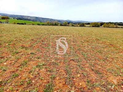 /international/pt/braganca-braganca-310107672215/