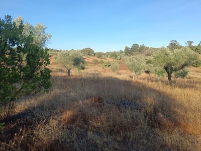 /international/pt/vcgg-v8-salgueiro-do-campo-portugal-salgueiro-do-campo-castelo-branco-310105231219/