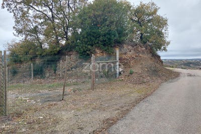 /international/pt/porto-de-mos-leiria-120079966567/