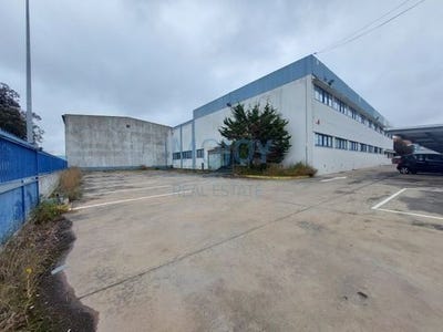 /international/pt/montijo-setubal-municipality-120093507165/