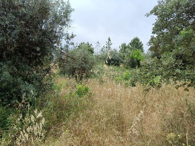 /international/pt/vccv-3m-castelo-branco-portugal-salgueiro-do-campo-castelo-branco-310105229403/