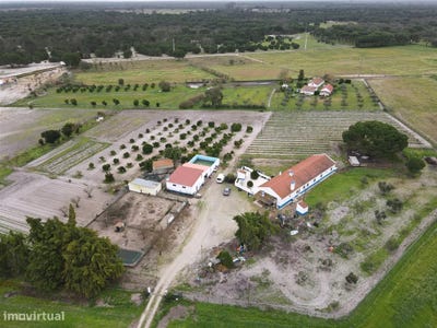 /international/pt/grandola-e-santa-margarida-da-serra-setubal-municipality-310094614768/
