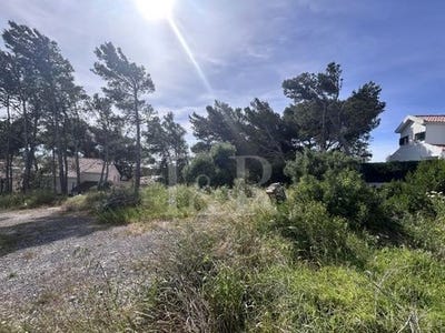 /international/pt/murches-cascais-lisbon-310107446806/