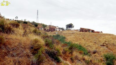 /international/pt/castro-marim-faro-310105818817/